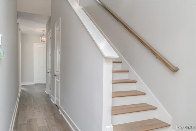 staircase with wood-type flooring