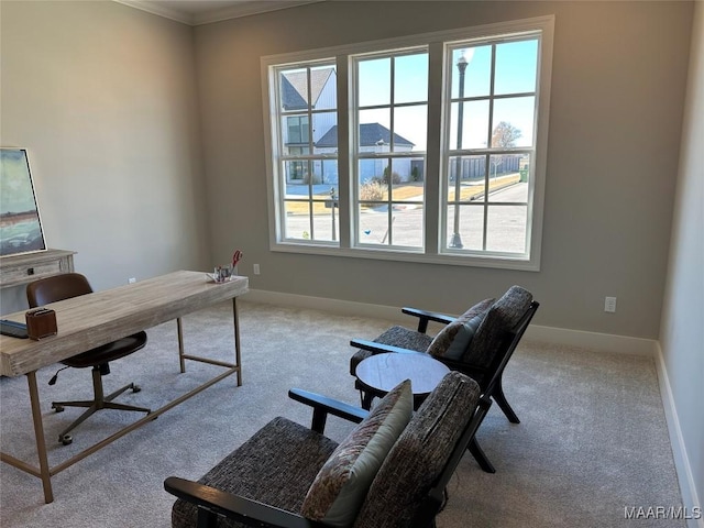 carpeted office space featuring ornamental molding