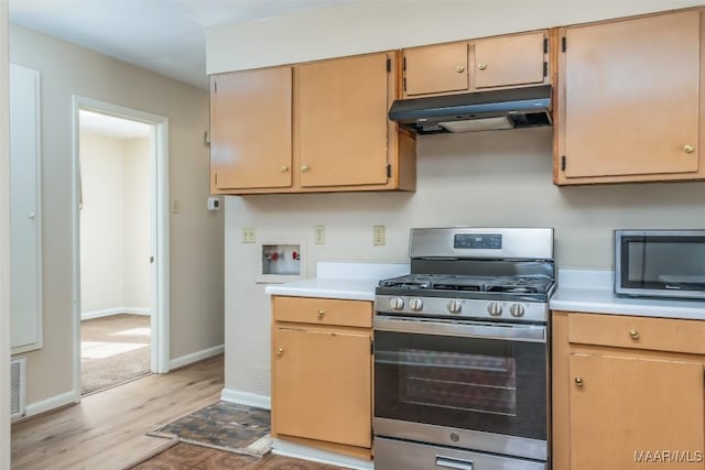 kitchen featuring light wood-type flooring and stainless steel appliances