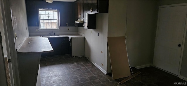 kitchen featuring exhaust hood and sink