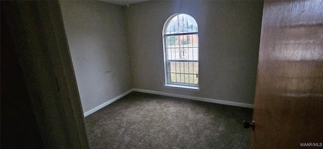 spare room featuring carpet floors