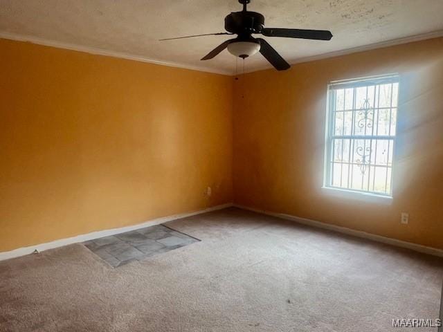 spare room with ceiling fan, carpet, and ornamental molding