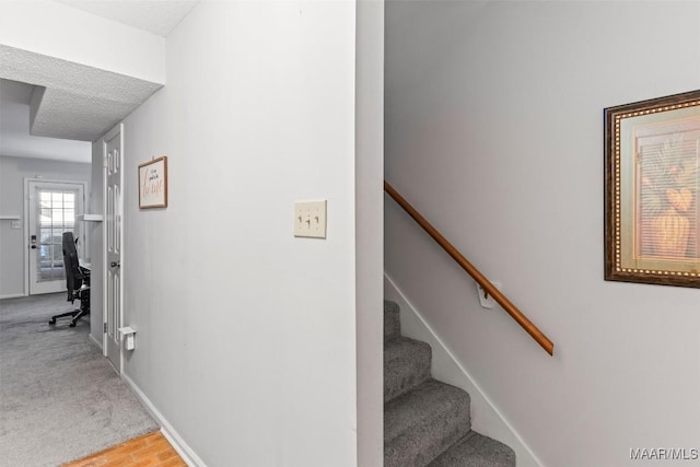 stairs featuring carpet flooring