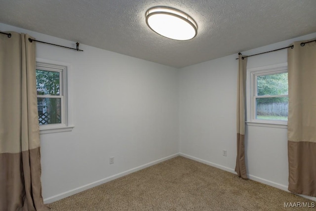 empty room featuring carpet and a textured ceiling