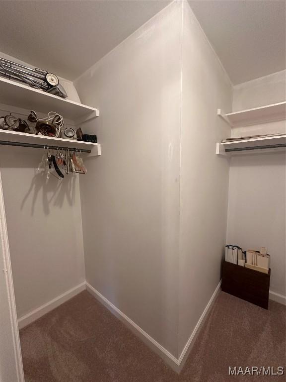 spacious closet featuring dark carpet