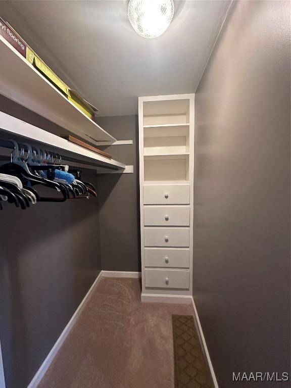 spacious closet with carpet floors