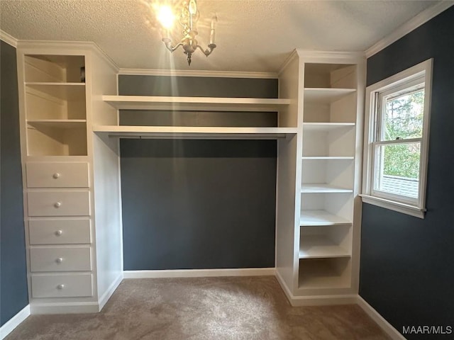 walk in closet featuring carpet flooring