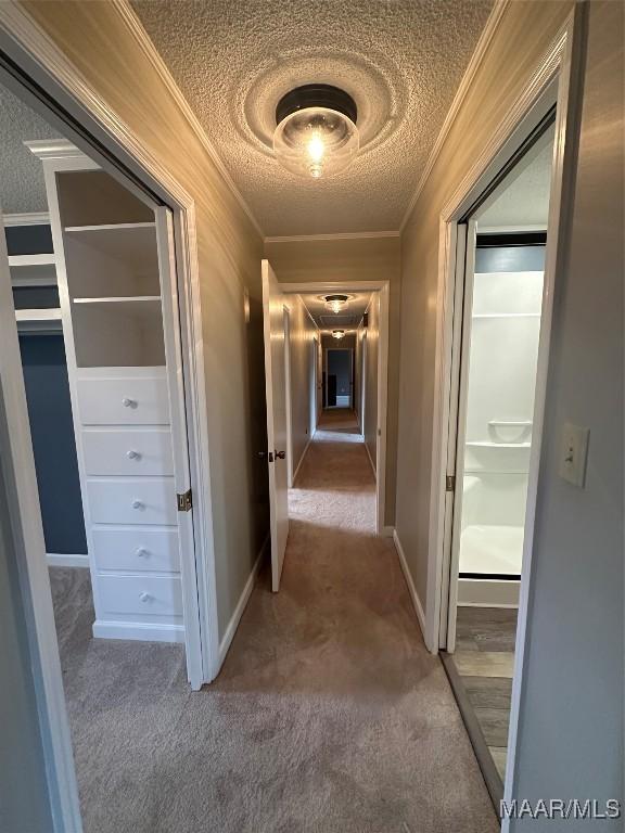 hall with carpet flooring and ornamental molding