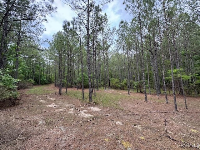 0 Central Ave, Eclectic AL, 36024 land for sale