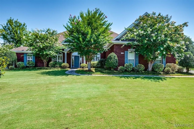 obstructed view of property with a front lawn