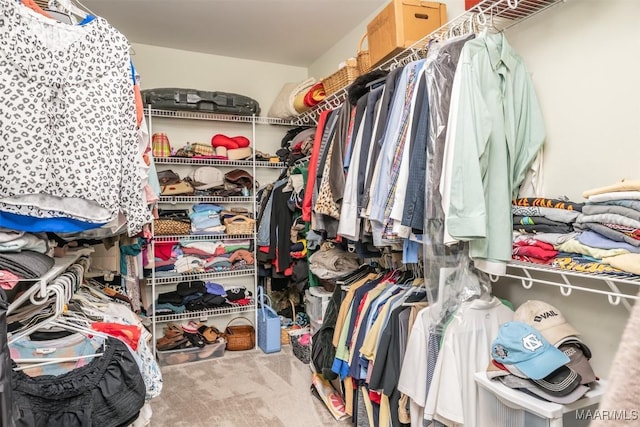 walk in closet with carpet floors