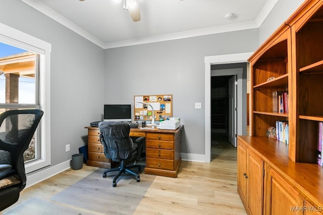 office space with ceiling fan, ornamental molding, and light wood-type flooring