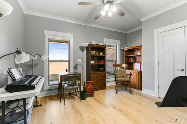 office space with light wood-type flooring, ceiling fan, and crown molding