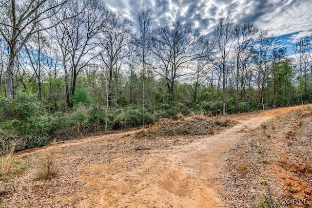 1330 Bridge Creek Rd, Prattville, AL 36067 - photo 5