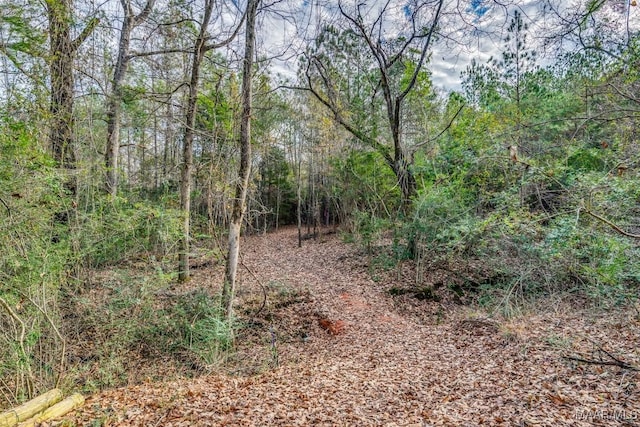 1330 Bridge Creek Rd, Prattville, AL 36067 - photo 23