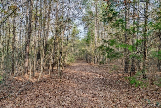 1330 Bridge Creek Rd, Prattville, AL 36067 - photo 24