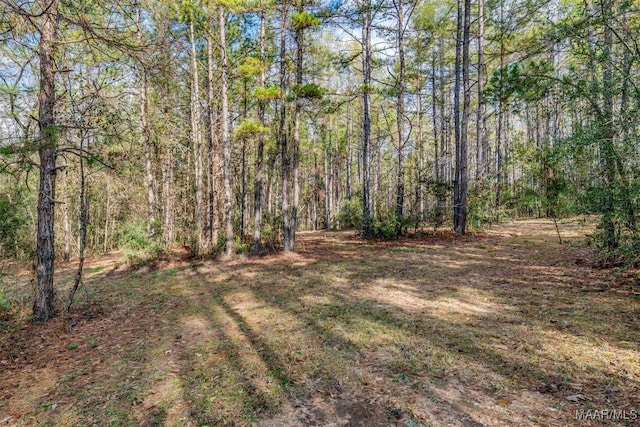 1330 Bridge Creek Rd, Prattville, AL 36067 - photo 25