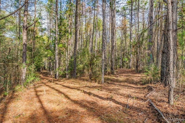 1330 Bridge Creek Rd, Prattville, AL 36067 - photo 26
