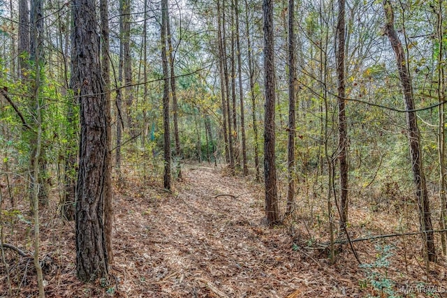 1330 Bridge Creek Rd, Prattville, AL 36067 - photo 28