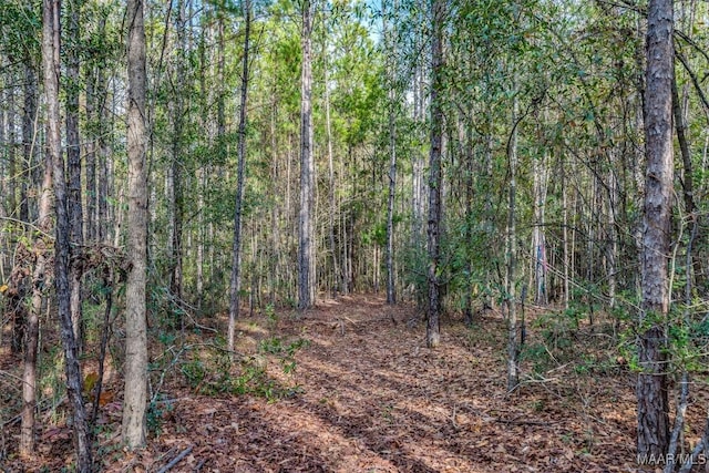 1330 Bridge Creek Rd, Prattville, AL 36067 - photo 29