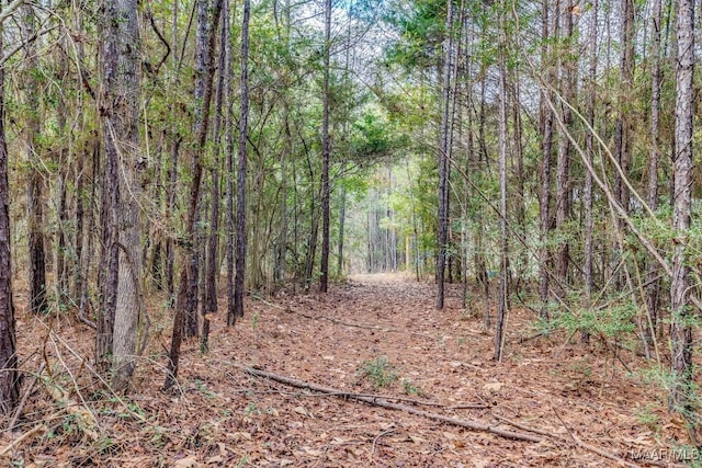 1330 Bridge Creek Rd, Prattville, AL 36067 - photo 30