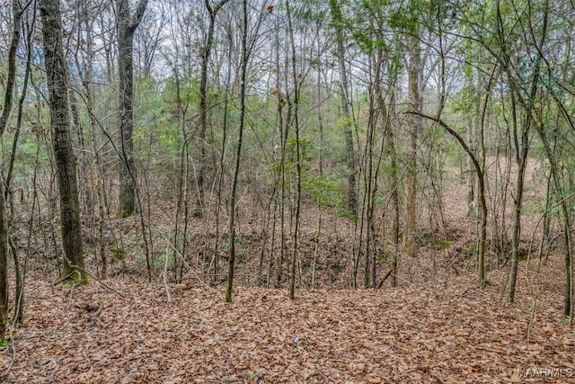 1330 Bridge Creek Rd, Prattville, AL 36067 - photo 32