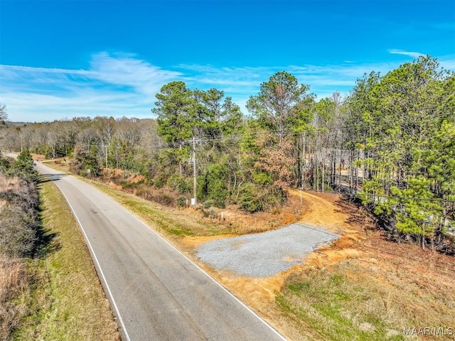 1330 Bridge Creek Rd, Prattville, AL 36067 - photo 6