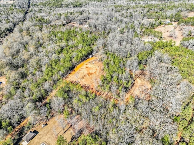 1330 Bridge Creek Rd, Prattville, AL 36067 - photo 11