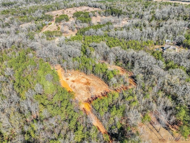 1330 Bridge Creek Rd, Prattville, AL 36067 - photo 12