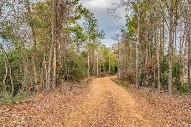 1330 Bridge Creek Rd, Prattville, AL 36067 - photo 4