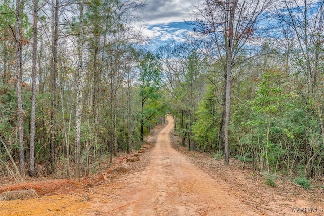 1330 Bridge Creek Rd, Prattville, AL 36067 - photo 2