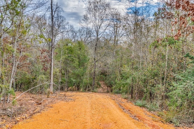 Listing photo 3 for 0 Bridge Creek Rd, Prattville AL 36067