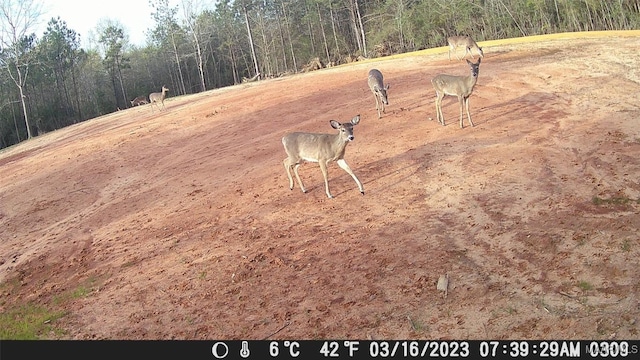 1330 Bridge Creek Rd, Prattville, AL 36067 - photo 35
