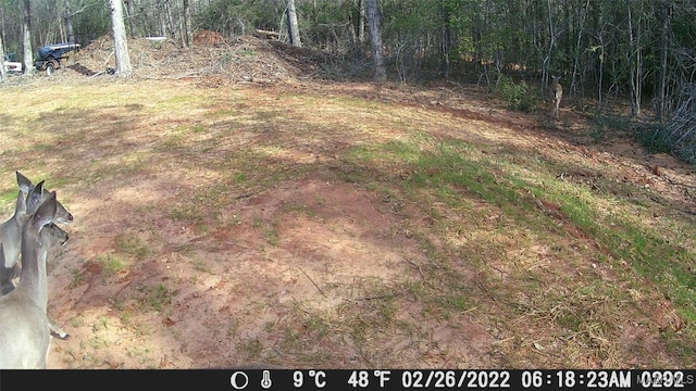 1330 Bridge Creek Rd, Prattville, AL 36067 - photo 36