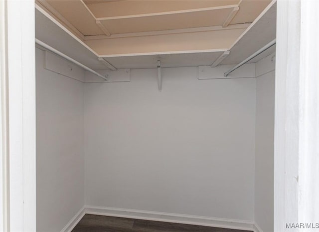 walk in closet featuring dark hardwood / wood-style floors