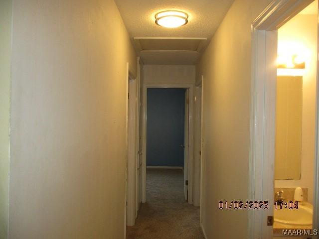 hallway with carpet and a textured ceiling