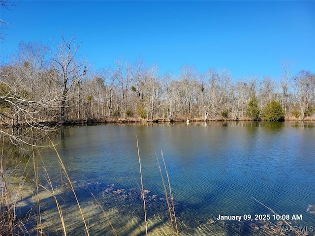 property view of water with a forest view