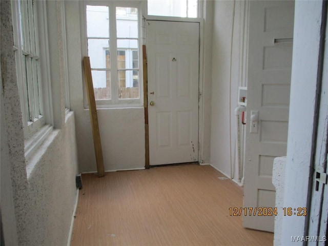 entryway with light hardwood / wood-style floors and a wealth of natural light