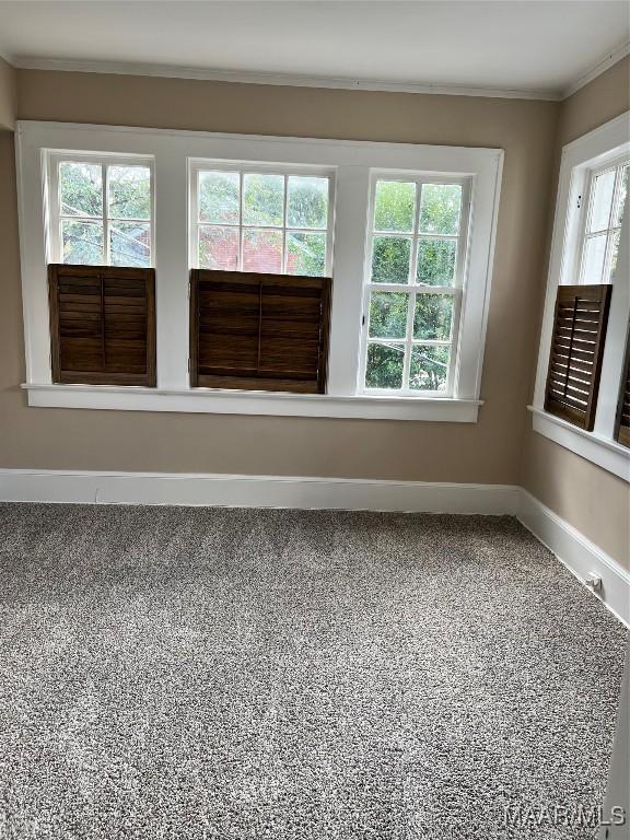 spare room featuring crown molding