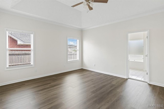 spare room with dark hardwood / wood-style flooring, a raised ceiling, a wealth of natural light, and ceiling fan