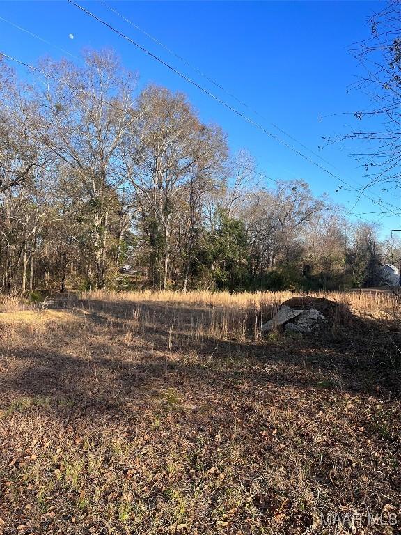 0 Mulberry Dr, Deatsville AL, 36022 land for sale