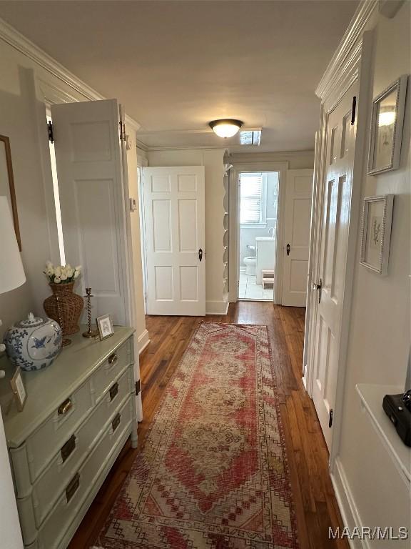 hallway with dark hardwood / wood-style flooring and crown molding