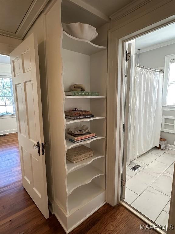 view of closet