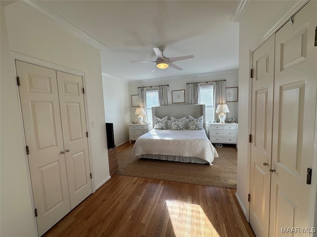 bedroom featuring ceiling fan, ornamental molding, dark wood-type flooring, and multiple closets