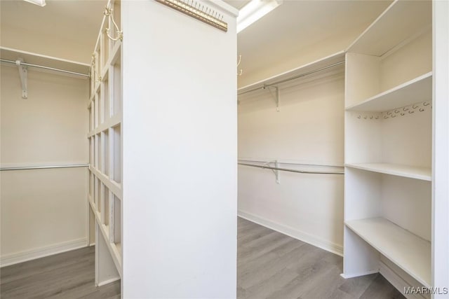 walk in closet with wood-type flooring