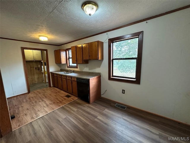 kitchen featuring dishwasher, a healthy amount of sunlight, light wood-type flooring, and sink