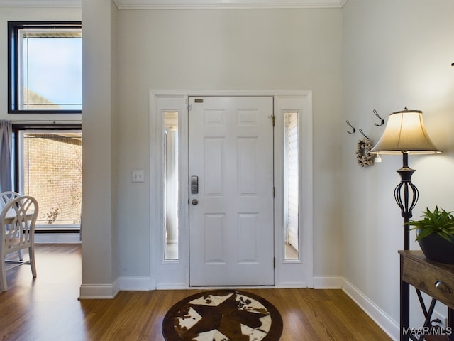 foyer with dark hardwood / wood-style floors and a wealth of natural light