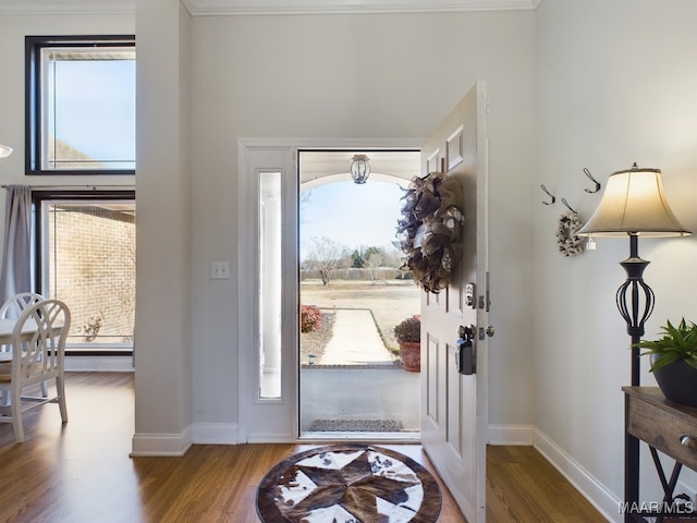 entrance foyer with a healthy amount of sunlight and dark hardwood / wood-style flooring