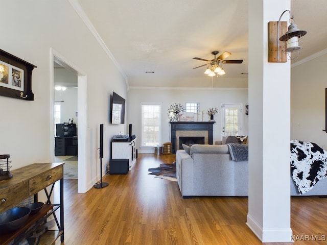 living room featuring wood-type flooring, a wealth of natural light, ceiling fan, and crown molding