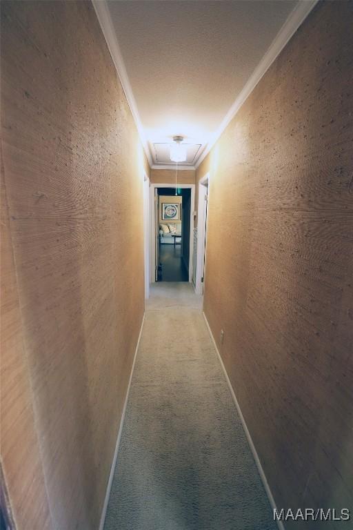 hallway featuring crown molding, baseboards, attic access, and light colored carpet